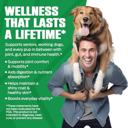 K10 Amino Acids for Dogs, All-in-One Dog Supplement, 30 Servings/Tub - style: Amino Acids