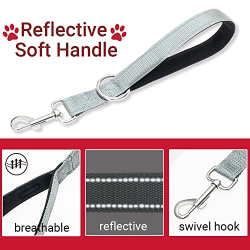 PAWNISAW Chew Proof Dog Leash, 5 FT Dog Tie Out Cable Lead with Handle - color: Silver