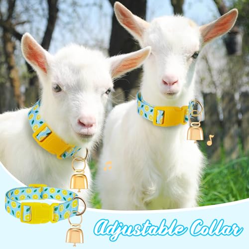 Talltalk Goat Collars with Bells Grazing Copper Bell and Adjustable Nylon Collar Set Loud Bronze Bell for Farm Pet Sheep Cow Sheep Dog Accessories Goat Gift(Lemon,Blue) - color: Blue, style: Lemon