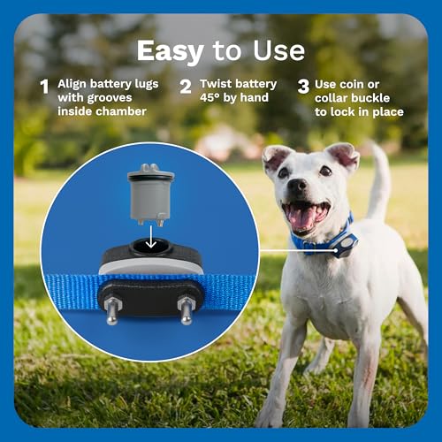 Invisible Fence Brand Power Cap Battery, 2-Pack - style: 2 Pack
