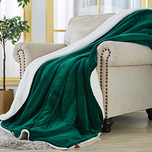 SOCHOW Sherpa Fleece Throw Blanket, Green, 50x60 inches | Double-Sided Super Soft Luxurious Plush Blanket Throw Size - color: Green, size: 50"×60"