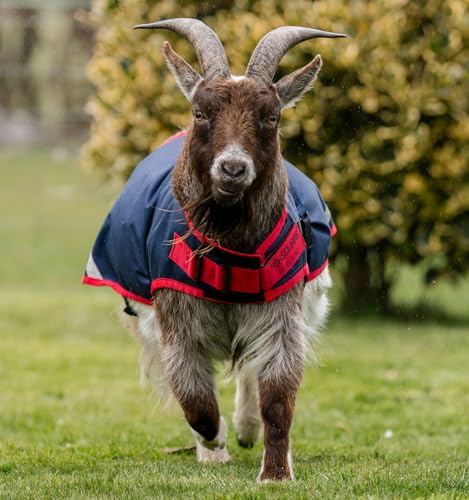 Horseware® Goat Coat 0g - Navy/Red, S - size: S