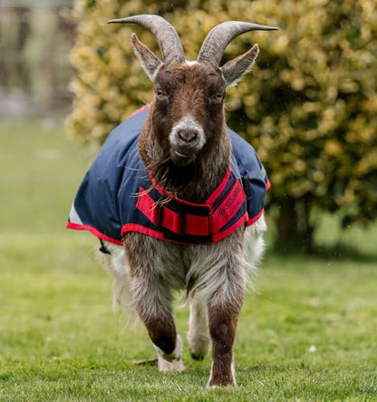 Horseware® Goat Coat 0g - Navy/Red, S - size: S