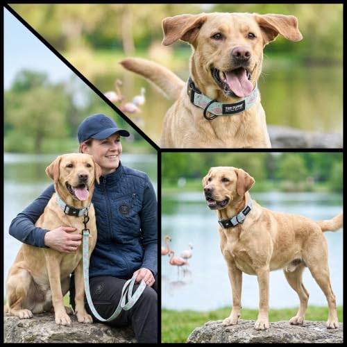 Tuff Pupper Premium Adjustable Dog Collar, Stylish Pattern Collars Designed in USA, Quick Release Buckle, Flamingo Bay Medium (1 Inch Wide x 13-18 Inch Neck) - color: Flamingo Bay, size: Medium
