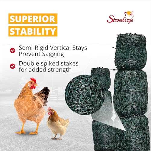 Stromberg's Positive/Negative Electric Fencing, 48" H x 164' L | Ideal for Poultry, Rabbits, Dogs, Small Animals, Double Spike Step-in Posts, Stainless Steel Conductors