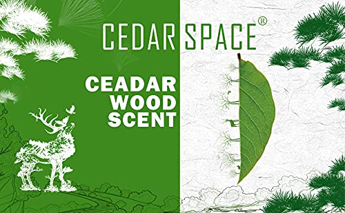 Cedar Space Cedar Blocks for Clothes Storage, 32 PCS Cedar Chips Wood Plank - size: 32 Count (Pack of 1)