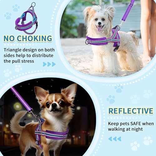 SlowTon No Pull Small Dog Harness and Leash Set with Front Clip | Soft Padded, Neck & Chest Adjustable, Lightweight, Anti-Twist, Puppy Vest Harness Pet Lead Combo for Small Medium Dog, PU XXS - color: Purple, size: XX-Small