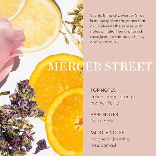 OUAI Fur Bébé Pet Shampoo - Mercer Street Scent (16 Fl oz)