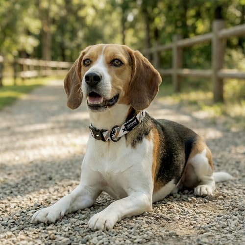 Tuff Pupper Premium Adjustable Dog Collar for Small Boy & Girl Dogs, Stylish Pattern Collars Designed in USA, Quick Release Buckle, NativePath Print, Small (0.7 Inch Wide x 8-12 Inch Neck) - color: NativePath, size: Small