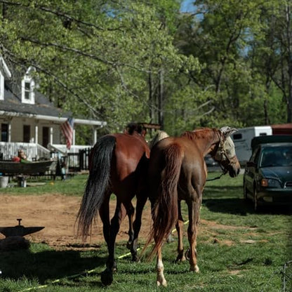 County Vet FarmGard Farm and Dairy Fly Spray -16 oz - (Case of 6)