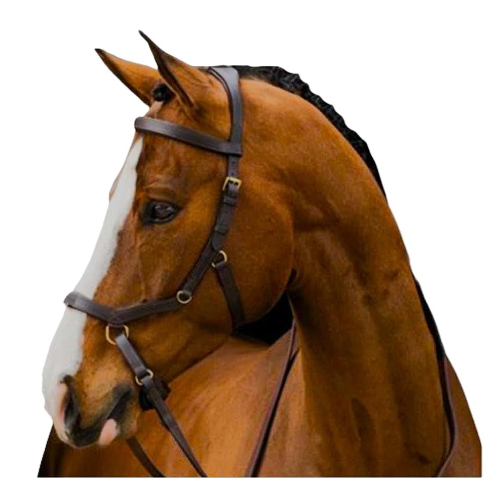BITLESS Comfort Pressure Relief Ergonomic Horse Bridle - color: CHESTNUT