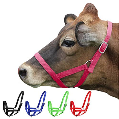 Derby Originals Adjustable Nylon Livestock Cattle Halters - color: Pink, size: Medium (500-800lbs)