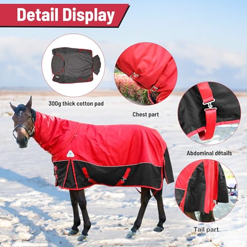 Surcingle Turnout Blankets for Horse,1680D Winter Water-Resistant HorseTrunout Sheets, 300g Warm Polyester Filling Liner, Medium Weight with Turnout Neck Cover Detachable (US 78 in/EU 145 cm) - size: US 78 in/EU 145 cm