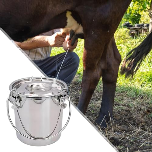 Stainless Steel Milking Machine Bucket with Lid, 3L Milk Can for Cow Sheep Goat Milking Equipment - size: 3L