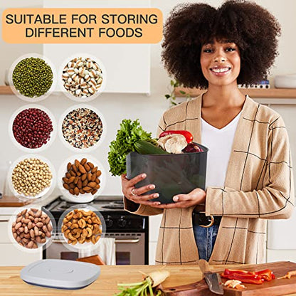 22-25 Lbs Rice Dispenser Storage Container - color: AY-10KG-GREY