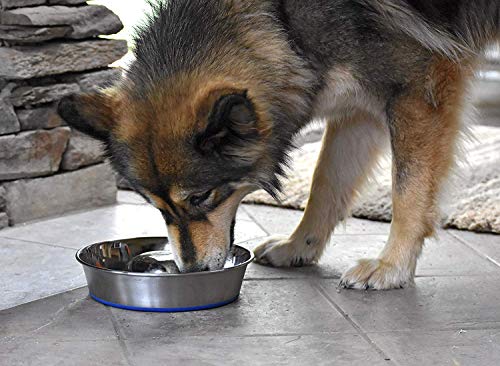 OurPets DuraPet Slow Feed Premium Stainless Steel Bowl (Heavyweight Durable Stainless Steel Bowls, Dog Food Bowl, and Dog Water Bowl) Great Alternative to Snuffle Mat for Dogs-Medium - size: Medium (4.5 Cups)