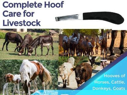 Regular Hoof Knife for Horses – Farrier Tool with Plastic Grip – Hoof Trimming Knife for Equine Care & Veterinary Use (Left Hand) (Regular-Blade - LH) (Regular Blade) - style: Regular Blade - LH
