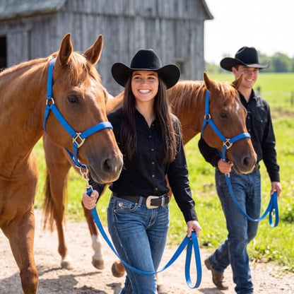 2 Pack Nylon Horse Halter with Reins Adjustable | Training, Show, Pony, Padded, Reinforced, Brass Snap, Equine Stable Supply - color: Blue
