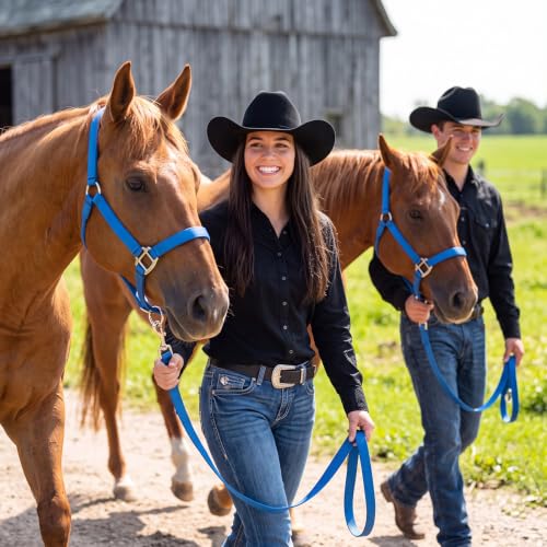 2 Pack Nylon Horse Halter with Reins Adjustable - color: Blue