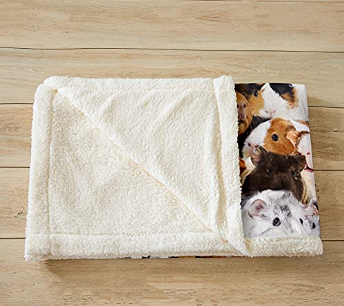 Kids Guinea Pig Fleece Blanket Children Cute Cavy Animal Sherpa Throw Blanket for Bed Sofa Couch Lovely Funny Pet Pattern Fuzzy Blanket Boys Girls Ultra Soft Warm Plush Flannel Blanket 40"x50" - color: Multi 15, size: 40"x50"