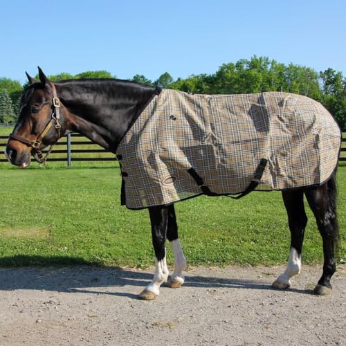 Country Pride Textilene Fly Sheet for Horses, Durable Breathable Mesh, Adjustable Double Buckle Front, Elastic Hind Leg Straps, Bias Surcingles, Black/Tan Plaid (80) - size: 80