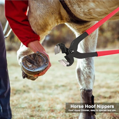 14 Inch Professional Hoof Trimming Kit, 8 Piece Farrier Tools Set with Hoof Nippers, Rasp, Shear Cutter, Hoof Knife, Sharpener, Pick, Gloves, Storage Bag, for Horse Goat Pig Hoof Care - size: 14.5 Inch