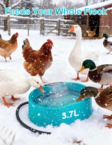Heated Water Bowl for Chicken 125OZ Heated Water Bowl for Hens Ducks Goose Winter Proof Automatic Heated Drinker for Coop No More Frozen Water