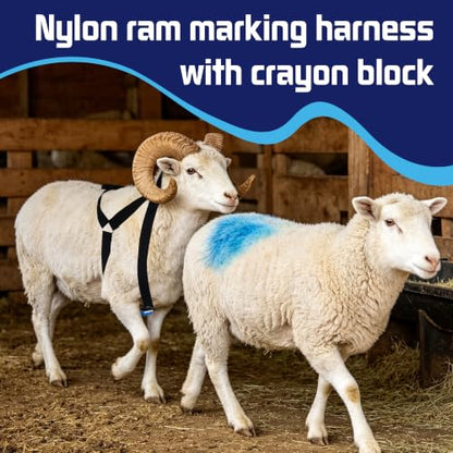 Ram Breeding Marking Harness &1 Marking Crayon for Goat Sheep,Blue | 1 Mating Crayon,Adjustable Nylon Strap,Quick-Release Buckle,Universal Fit | Rain-Resistant Marks,Livestock Management