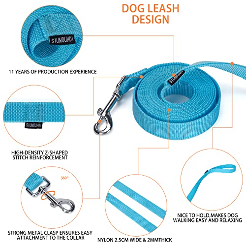 Strong Durable Nylon Dog Training Leash, 1 Inch Wide Traction Rope, 10 ft Long, for Small and Medium Dog (Mint Blue, 10 Feet) - color: Mint blue, size: 10 Feet