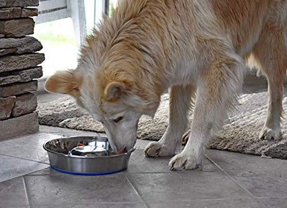 OurPet's DuraPet Slow Feed Stainless Steel Dog Bowl, Silver, Large - size: Large (6 Cups)