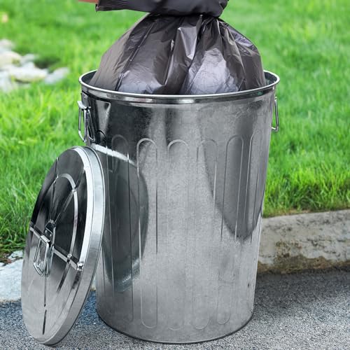 Plexon 20 Gallon Metal Trash Can with Lid Outdoor Large Trash Bin Galvanized Steel Garbage Can for Farm Garage Patio Ash Bucket Bird Seed Storage Can Heavy Duty Round Container - color: Silver