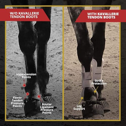 Kavallerie Classic Tendon Boots, Impact-Absorbing Material, Breathable & Evenly Distribute Pressure, Protect Tendon and Ligaments, Anti-Slip, Anti- Sore and Moisture Repellant Show Jumping Boots - color: Tendon Boots(classic), White