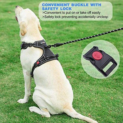 tobeDRI No Pull Dog Harness Adjustable Reflective Oxford Easy Control Medium Large Dog Harness with A Free Heavy Duty 5ft Dog Leash, Blue, M - color: Blue, size: Medium
