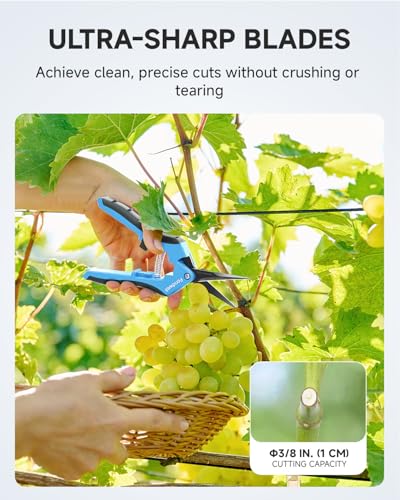 Fondwell 6.5" Precision Pruning Shears for Gardening Bud Trimming Scissors | 1-Pack Garden Snips, Ultra-Sharp Non-Stick Straight Blades, Fatigue-Free - Best for Delicate Cutting Flower Stems Herbs Buds - color: Black (Straight Blades)