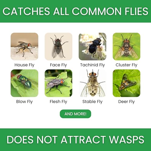Fly Bait Refill Packs | Flybuster Compact | Non-Toxic | Bait Powder for All Flytraps | 4-Pack - size: Compact (4-Pack)