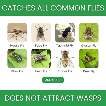 Fly Bait Refill Packs | Flybuster Compact | Non-Toxic | Bait Powder for All Flytraps | 4-Pack - size: Compact (4-Pack)