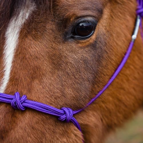 Four Knot Rope Halter and 12 Foot Lead Rope Training Set (Purple, Standard) - size: Standard