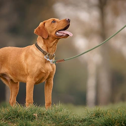Mile High Life Dog Leash with Genuine Leather-Wrapped Ends/Handle, 4/5/6FT - color: Olive Green, size: 48 Inch-1/2"