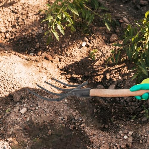 Mikikit Pitch Fork Replacement Head Four-Prong Garden Fork for Soil Loosening Ground Preparation Deep Turning Farming and Landscaping Heavy Duty Digging Tool 14.96 X 8.07 X 1.37 in