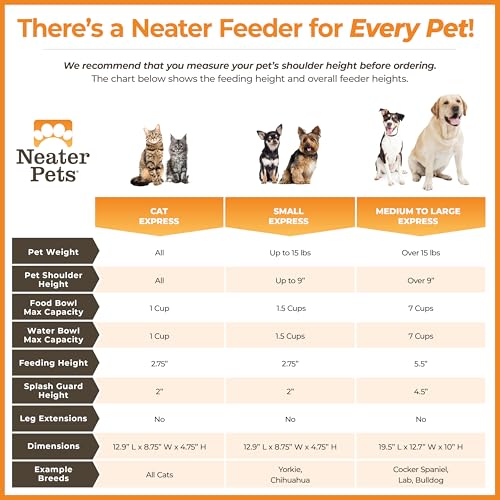Neater Feeder Express Mess Proof Dog Bowls Elevated for Small Breeds Under 15 Lb, Made in USA, No Spill Raised Dog Food Bowl Stand, Stainless Steel Food and Water Bowl Set, Feeding Station, Black - color: Midnight Black, size: Small w/ Standard Bowls