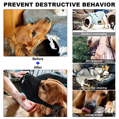 Dog First Aid Kit - Pet First Aid Kit for Dogs Pet Emergency Kit with Grooming Hammock Harness Nail Clipper First Aid Supplies for Home Camping