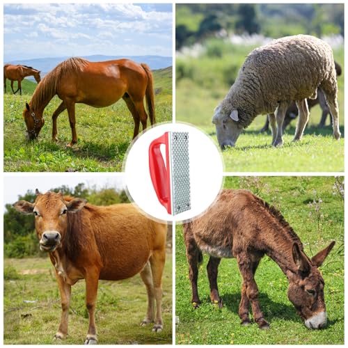 2Pcs Hoof Rasp File, Ergonomic Grip Portable Farrier Rasp, Hoof Trimming Tool for Ponies, Goats, Pigs, Donkeys and Small Animals