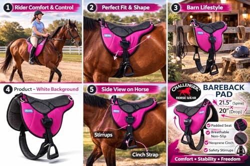 Horse Western Trail Neoprene Padded Anti-Slip Bareback Saddle Pad 39TS06 - color: Purple, size: 33" L x 25" W