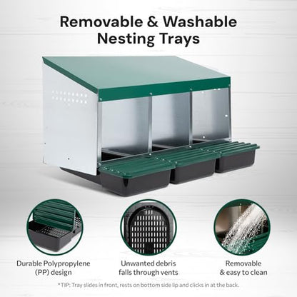 Homestead Essentials Compact Style 3 Compartment, Forward Rollout & Rollaway, Hen & Chicken Nesting Box with Protective Egg Laying Collection Lids