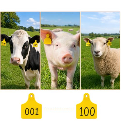 Okllen Set of 100 Blank Cattle Ear Tags, Large Livestock Ear Tag