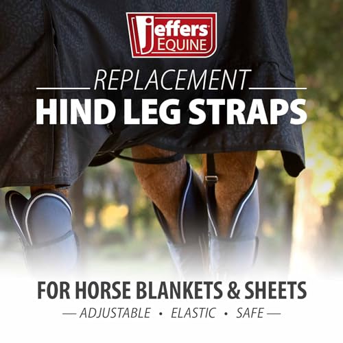Jeffers Equine Replacement Adjustable Elastic Leg Straps for Horse Blankets, Sheets & Turnout Rug – Durable, Wide 1" Strap, Secure Fit, Adjustable for All Horses – Classic Black - Sold in Pairs