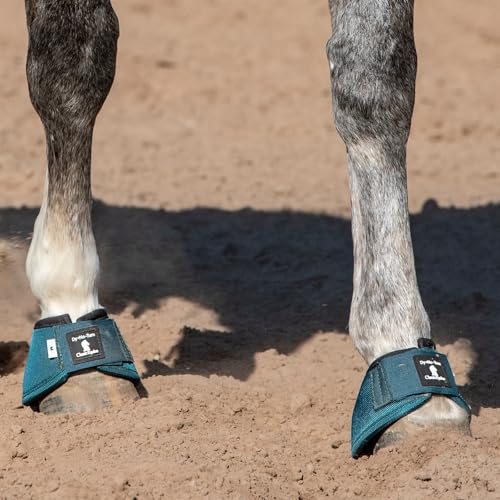 Classic Equine Dyno Turn Bell Boots - color: Dragonfly Green, size: Large