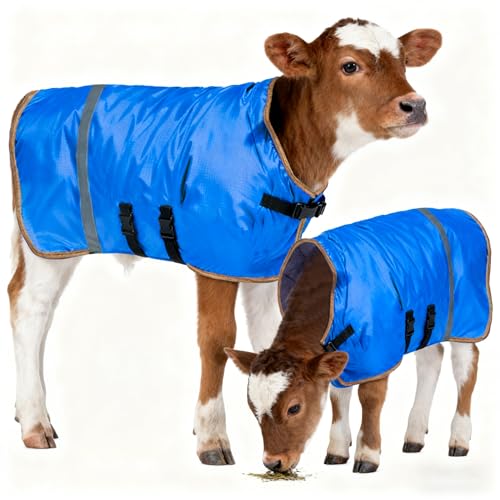 Fleece-Lined Calf Coat – 150g Insulated Winter Jacket for Calves & Goats – Blue/Gold – 2-Pack