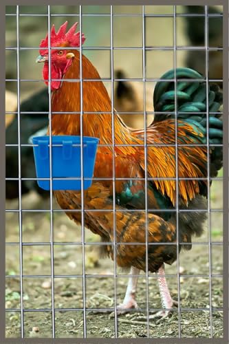 40 Pack Cage Cups Birds Feeders Seed Bowl Chicken Feeding Watering Dish Rabbit Water Food Hanging Wire Cages Box 8oz Coop Cups for Pet Parrot Parakeet Gamefowl Poultry Pigeon (Blue) - size: 40PCS Blue