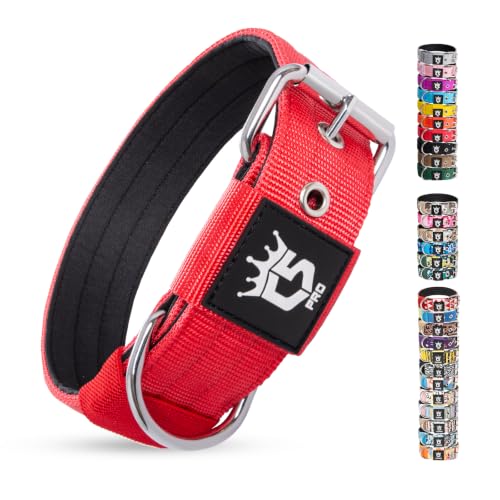 TSPRO Heavy Duty Thick Dog Collar with Metal Buckle for Small Dogs - color: Basic Red, size: S – Fits Neck 12.6"-15.8"